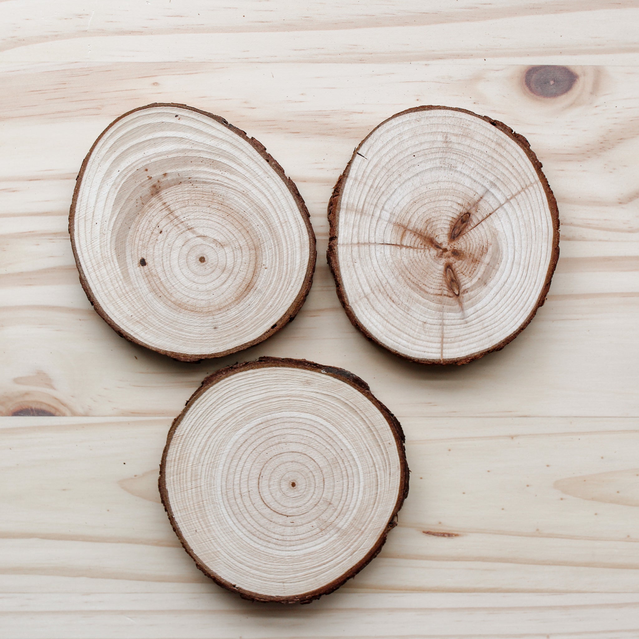 Wood Slices Canada